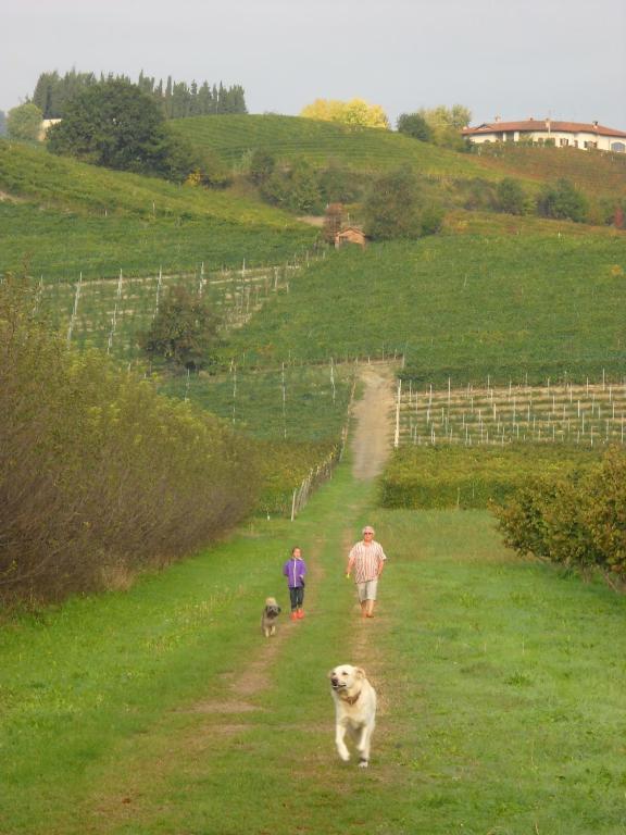 Cascina Ballarin La Morra Ngoại thất bức ảnh