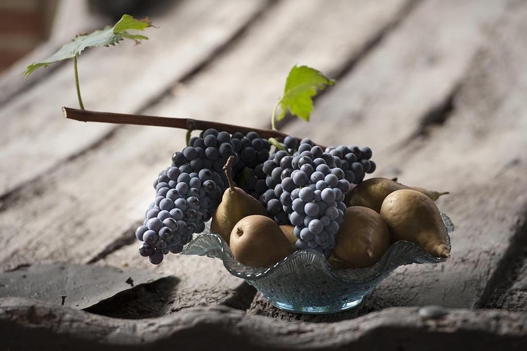 Cascina Ballarin La Morra Ngoại thất bức ảnh